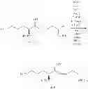 Fig. 441 - MACROCYCLIC COMPOUNDS USEFUL AS PHARMACEUTICALS