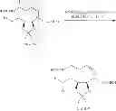 Fig. 481 - MACROCYCLIC COMPOUNDS USEFUL AS PHARMACEUTICALS