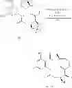 Fig. 489 - MACROCYCLIC COMPOUNDS USEFUL AS PHARMACEUTICALS