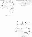 Fig. 545 - MACROCYCLIC COMPOUNDS USEFUL AS PHARMACEUTICALS