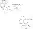 Fig. 565 - MACROCYCLIC COMPOUNDS USEFUL AS PHARMACEUTICALS