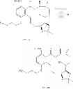 Fig. 570 - MACROCYCLIC COMPOUNDS USEFUL AS PHARMACEUTICALS