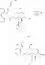 Fig. 587 - MACROCYCLIC COMPOUNDS USEFUL AS PHARMACEUTICALS