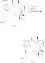 Fig. 615 - MACROCYCLIC COMPOUNDS USEFUL AS PHARMACEUTICALS