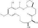 Fig. 63 - MACROCYCLIC COMPOUNDS USEFUL AS PHARMACEUTICALS