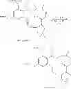 Fig. 663 - MACROCYCLIC COMPOUNDS USEFUL AS PHARMACEUTICALS