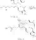 Fig. 673 - MACROCYCLIC COMPOUNDS USEFUL AS PHARMACEUTICALS