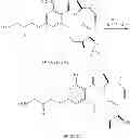 Fig. 676 - MACROCYCLIC COMPOUNDS USEFUL AS PHARMACEUTICALS