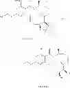 Fig. 724 - MACROCYCLIC COMPOUNDS USEFUL AS PHARMACEUTICALS