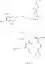 Fig. 730 - MACROCYCLIC COMPOUNDS USEFUL AS PHARMACEUTICALS