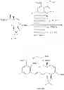 Fig. 764 - MACROCYCLIC COMPOUNDS USEFUL AS PHARMACEUTICALS