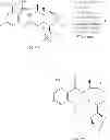 Fig. 766 - MACROCYCLIC COMPOUNDS USEFUL AS PHARMACEUTICALS