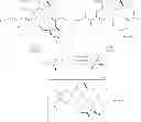 Fig. 856 - MACROCYCLIC COMPOUNDS USEFUL AS PHARMACEUTICALS