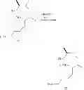 Fig. 863 - MACROCYCLIC COMPOUNDS USEFUL AS PHARMACEUTICALS