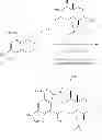 Fig. 894 - MACROCYCLIC COMPOUNDS USEFUL AS PHARMACEUTICALS