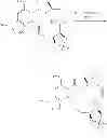 Fig. 899 - MACROCYCLIC COMPOUNDS USEFUL AS PHARMACEUTICALS