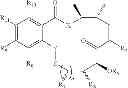 Fig. 963 - MACROCYCLIC COMPOUNDS USEFUL AS PHARMACEUTICALS