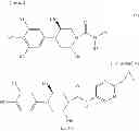 Fig. 04 - ANTAGONIST FOR MUTANT ANDROGEN RECEPTOR