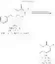 Fig. 09 - 1′,3′-disubstituted-4-phenyl-3,4,5,6-tetrahydro--[1,4′]bipyridinyl-2′-ones