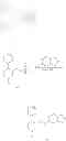 Fig. 07 - Paroxetine derivative