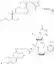 Fig. 41 - Compositions and methods for treating viral infections
