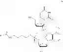 Fig. 44 - Compositions and methods for treating viral infections