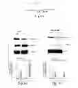 Fig. 09 - METHODS FOR TREATING STRESS INDUCED EMOTIONAL DISORDERS