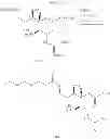 Fig. 08 - Method for manufacturing neuraminic acid derivatives