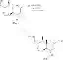 Fig. 64 - Method for manufacturing neuraminic acid derivatives