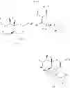 Fig. 71 - Method for manufacturing neuraminic acid derivatives