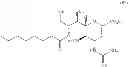 Fig. 89 - Method for manufacturing neuraminic acid derivatives
