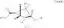 Fig. 02 - MGlu 2/3 agonists