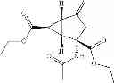 Fig. 07 - MGlu 2/3 agonists