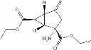 Fig. 09 - MGlu 2/3 agonists