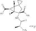 Fig. 35 - MGlu 2/3 agonists