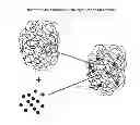 Fig. 01 - Composition and method for the enhancement of the efficacy of drugs