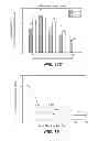 Fig. 16 - Composition and method for the enhancement of the efficacy of drugs