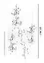 Fig. 23 - Composition and method for the enhancement of the efficacy of drugs
