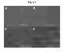 Fig. 07 - SELF-ALIGNED GRAPHENE POLYMER NANOCOMPOSITES