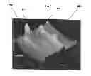 Fig. 08 - Injection molded article comprising polypropylene and polylactic acid
