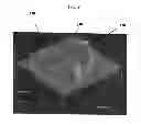 Fig. 09 - Injection molded article comprising polypropylene and polylactic acid