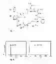 Fig. 06 - Method For Synthesizing A Cyclic Multivalent Peptide Using A Thiol-Mediated Reaction