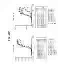 Fig. 67 - Binding Proteins That Bind to Human FGFR1c, Human Beta-Klotho and Both Human FGFR1c and Human Beta-Klotho
