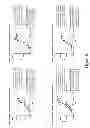 Fig. 77 - Binding Proteins That Bind to Human FGFR1c, Human Beta-Klotho and Both Human FGFR1c and Human Beta-Klotho