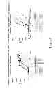 Fig. 82 - Binding Proteins That Bind to Human FGFR1c, Human Beta-Klotho and Both Human FGFR1c and Human Beta-Klotho