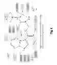 Fig. 07 - Method and composition for crystallizing G protein-coupled receptors
