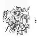 Fig. 28 - Method and composition for crystallizing G protein-coupled receptors
