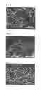 Fig. 02 - Method for producing porous silk fibroin material