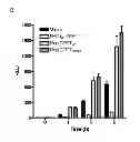 Fig. 09 - PROTEIN PRODUCTION