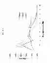 Fig. 07 - Antibody libraries